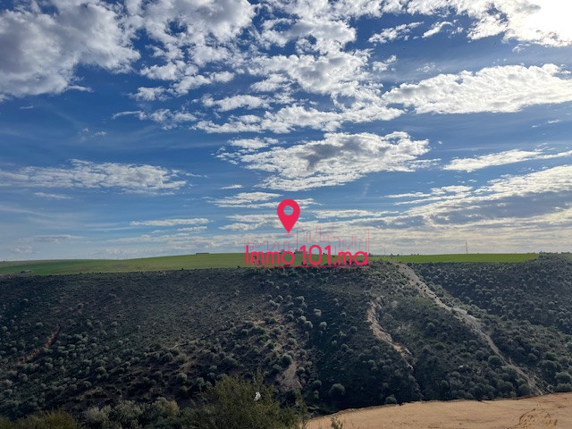 Villa moderne à vendre à El Menzeh ZLV1623